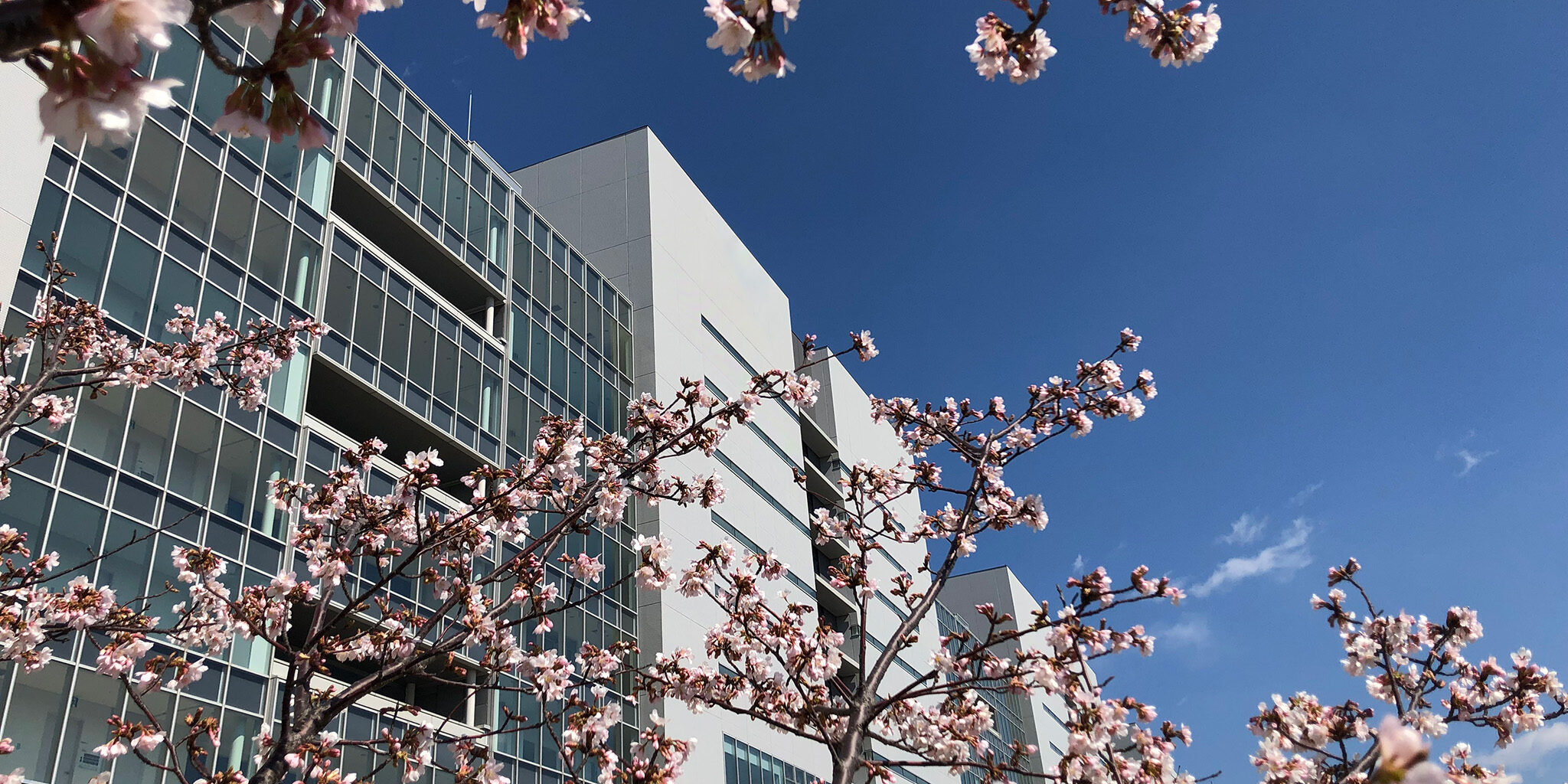 GEXVal’s office is located at Shonan iPark, a leading life sciences open innovation hub in Kanagawa, Japan.