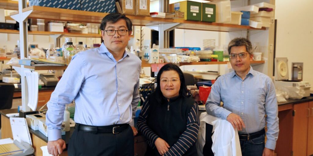 Peng Jin Team at Emory University Peng Jin Team at Emory University