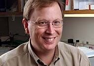 David Nelson, PhD, FRAXA Investigator